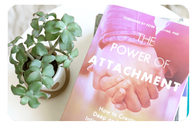 Diane Poole Heller - The Power of Attachment Book