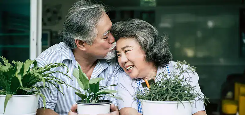 Trauma Solutions: An older man kisses an older woman on the forehead as they sit together smiling, each holding a potted plant.